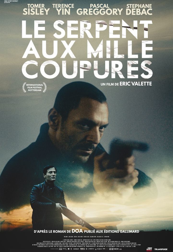 le serpent aux mille coupures affiche cinéma