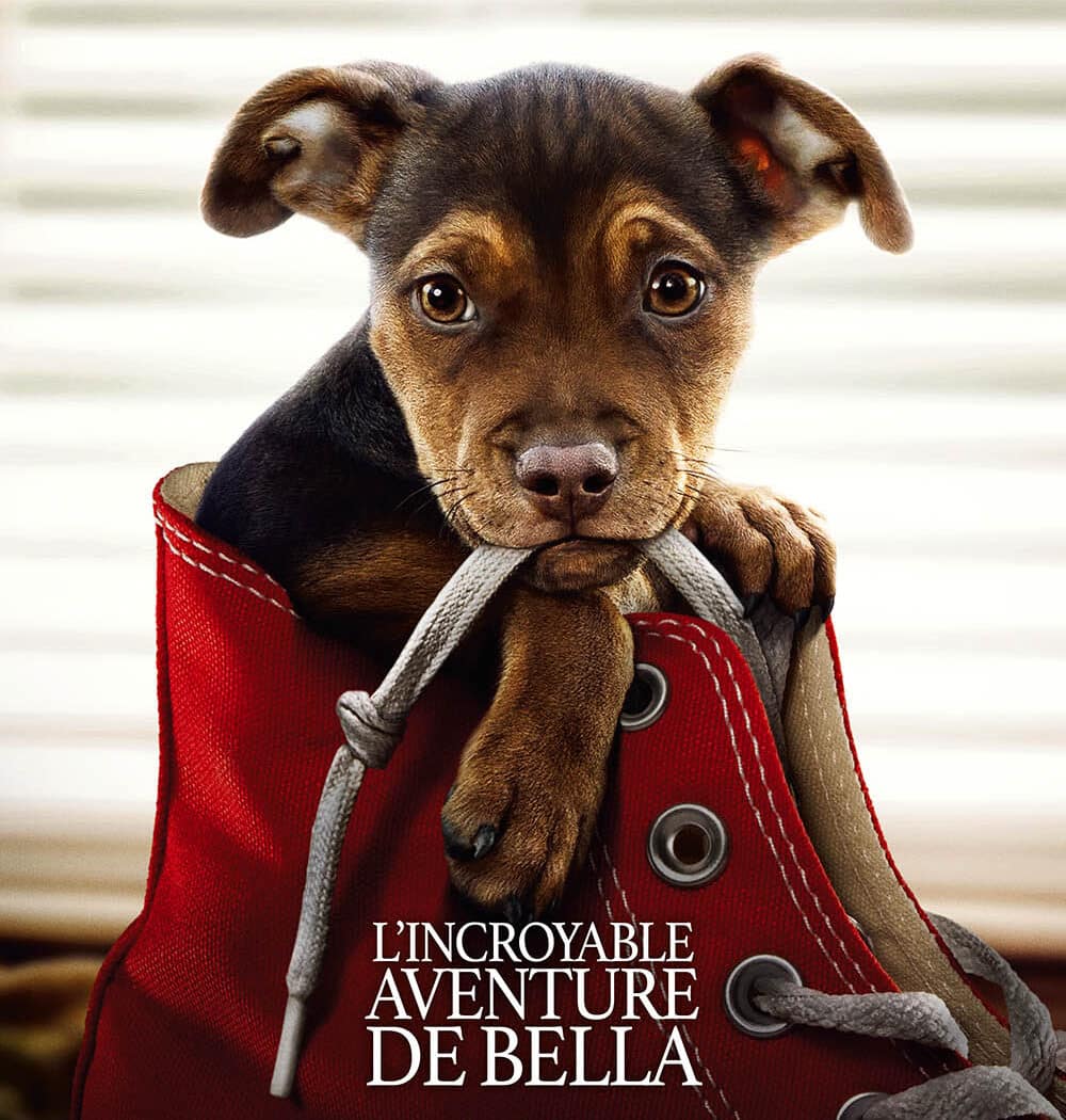 l'incroyable aventure de bella affiche