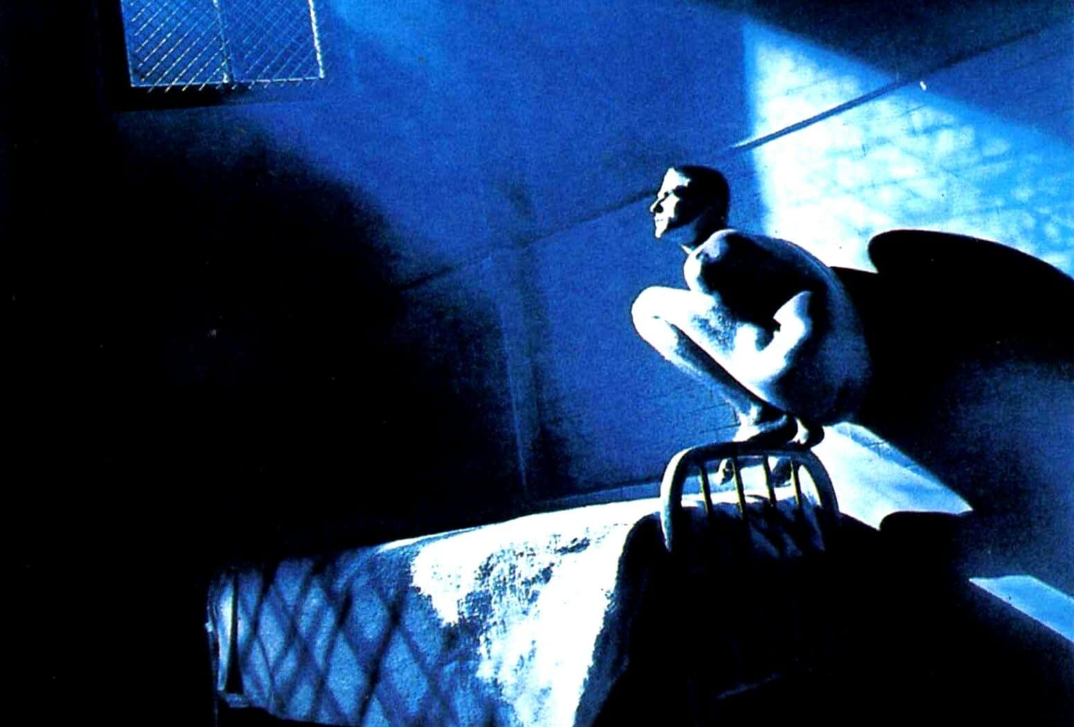 Birdy, affiche du film d'Alan Parker