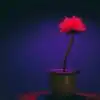 Teaser du film Little Joe