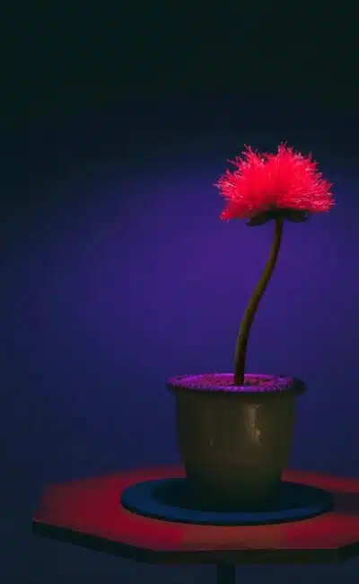 Teaser du film Little Joe