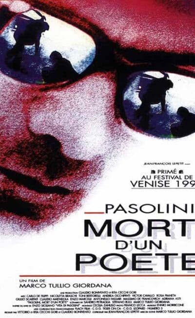 Pasolini, mort d'un poète, l'affiche du film