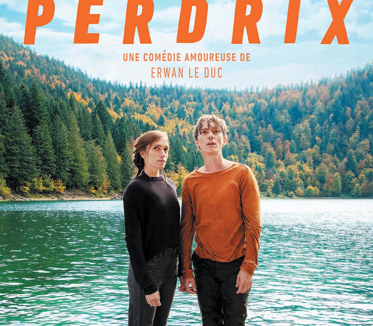 Perdrix - affiche du film de Erwan Le Duc