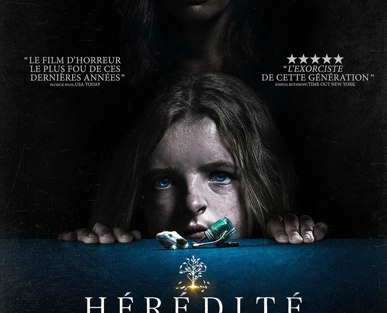 Affiche française du film Hérédité