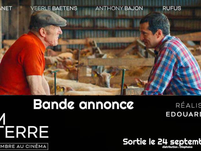 Jumanji 2 : Next Level, Pinocchio, A couteaux tirés… les bande-annonces de la semaine