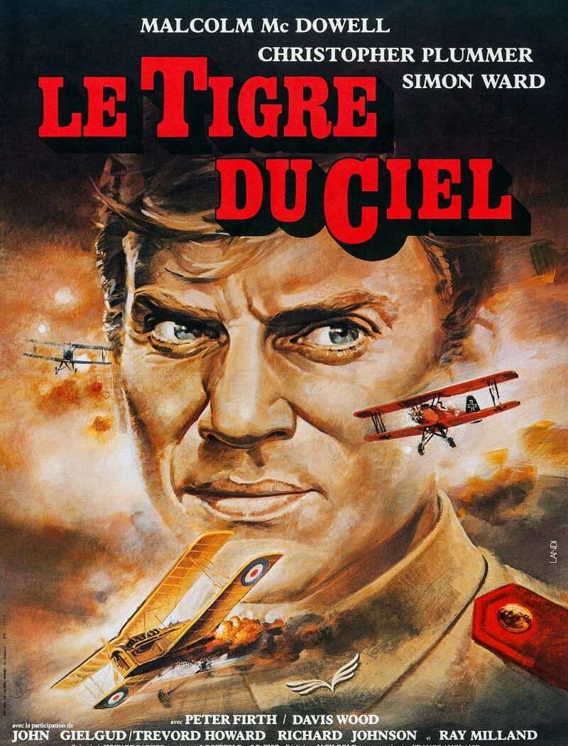 Le tigre du ciel, affiche française