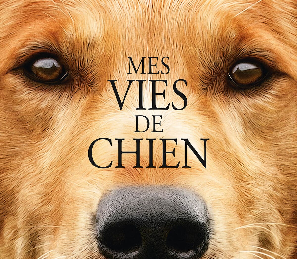 Mes vies de chien, affiche du film