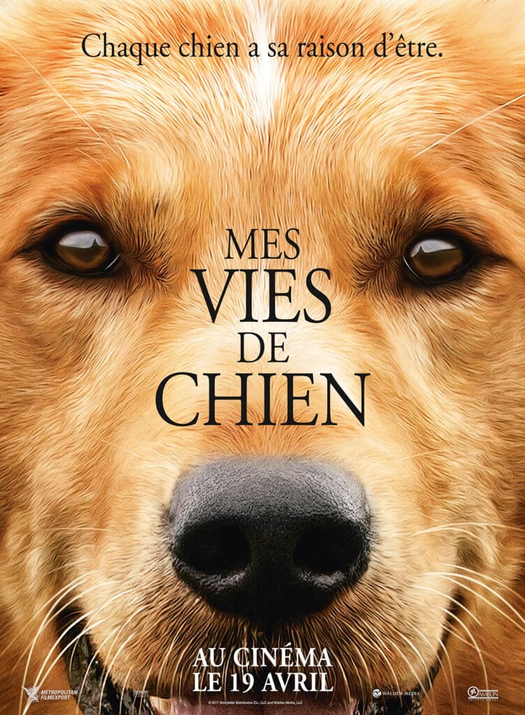 Dog Film Date De Sortie