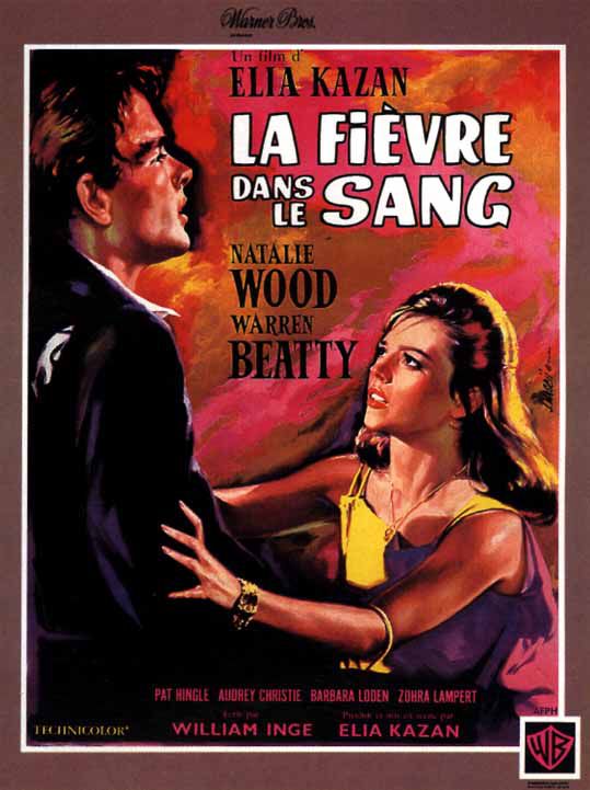 Affiche de La Fièvre dans le sang d'Elia Kazan
