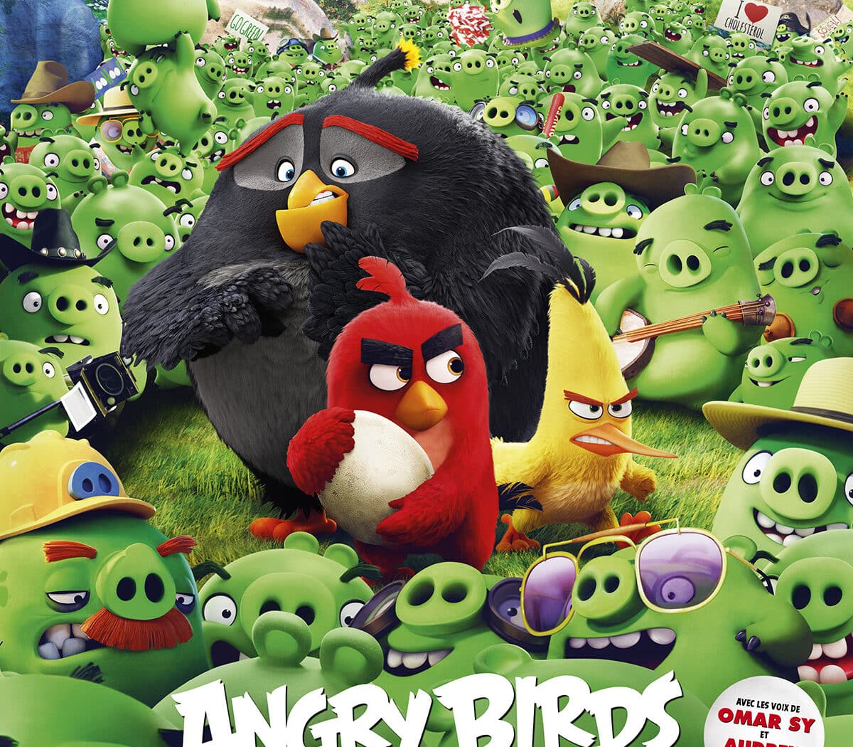 Angry Birds affiche cinéma