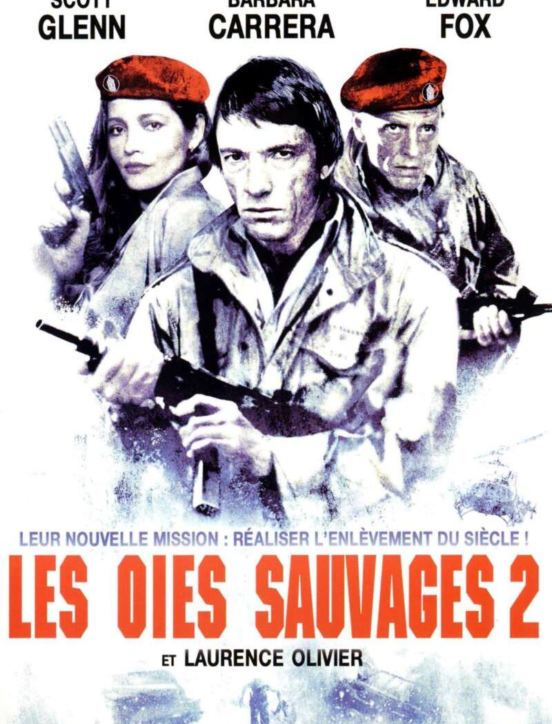 Les oies sauvages 2, la jaquette DVD