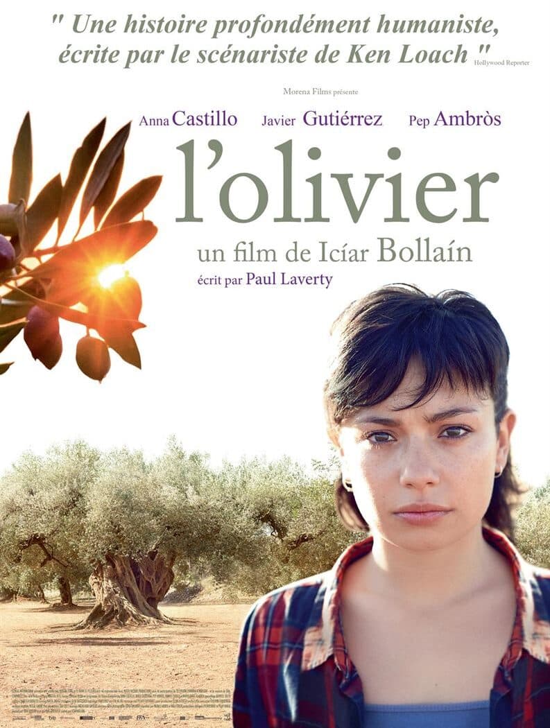 Affiche de l'Olivier de Iciar Bollain