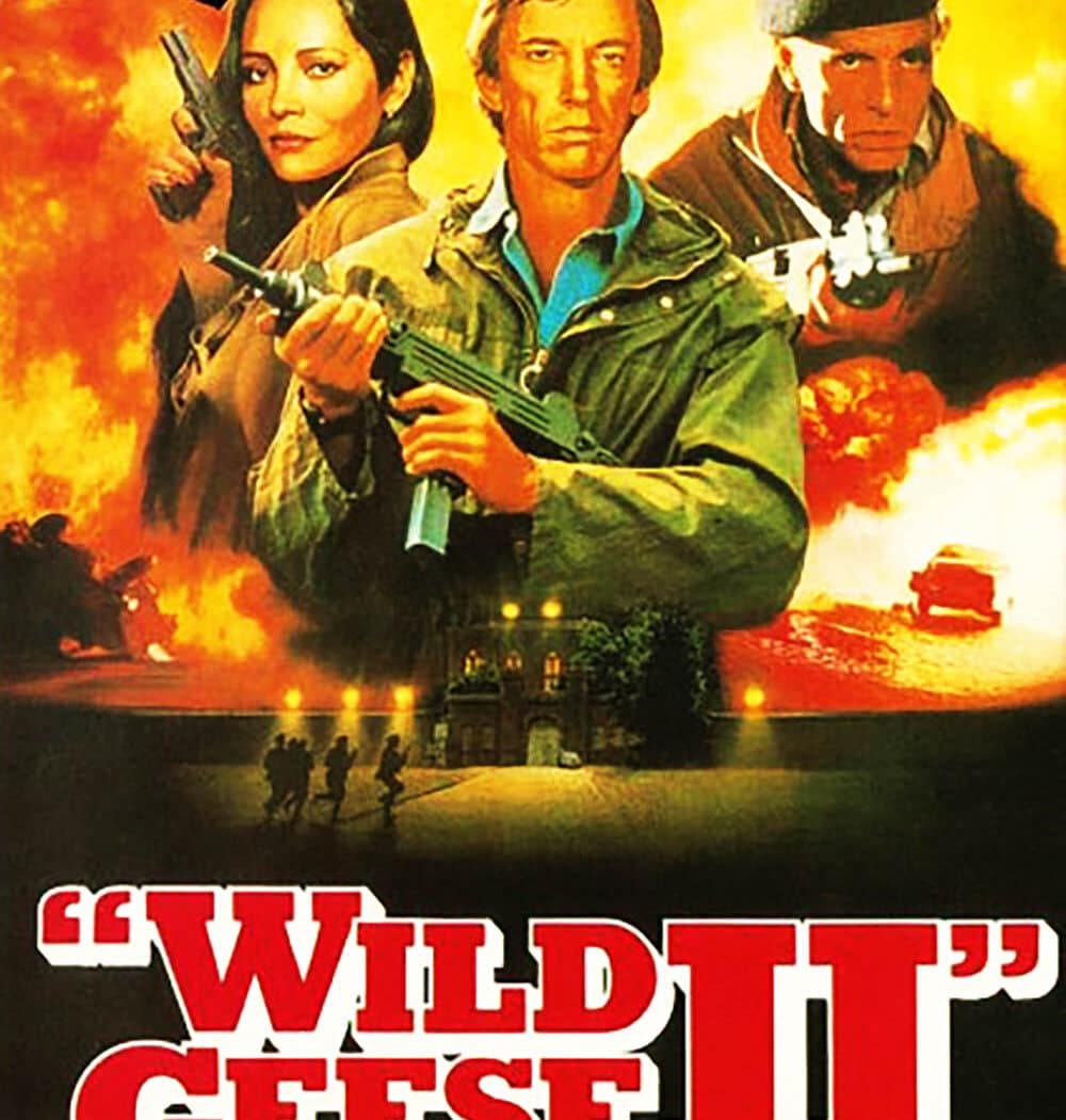 Wild Geese II - les oies sauvages