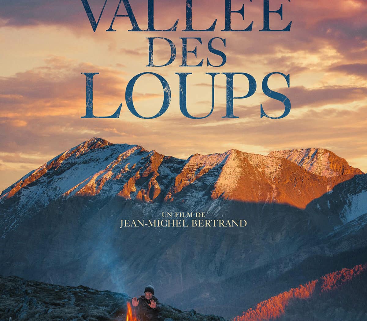 Affiche La vallée des loups