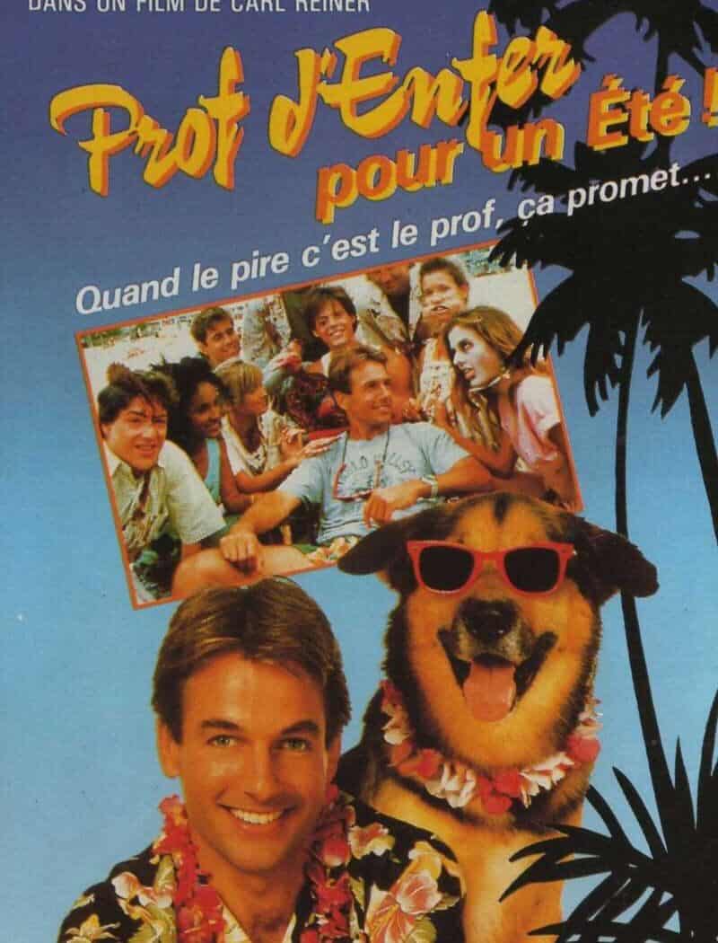 Prof d'enfer pour un été, jaquette vidéo