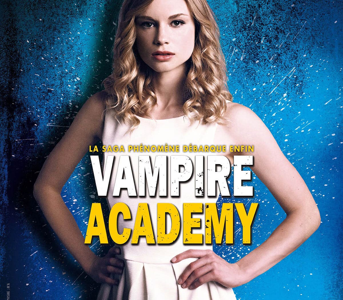 Lucy Fry est Lissa dans Vampire Academy