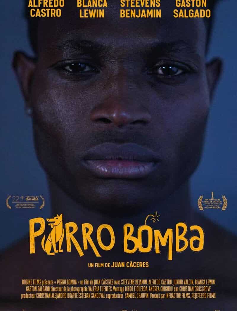 Perro Bomba, l'affiche