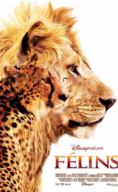 Félins, affiche du film Disney Nature