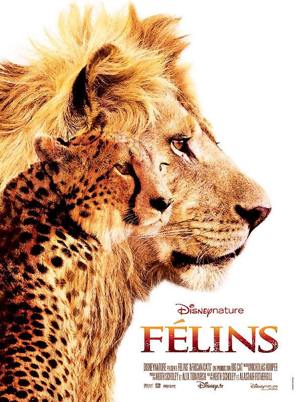 Félins, affiche du film Disney Nature