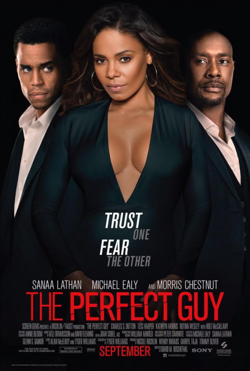 The Perfect Guy, Affiche