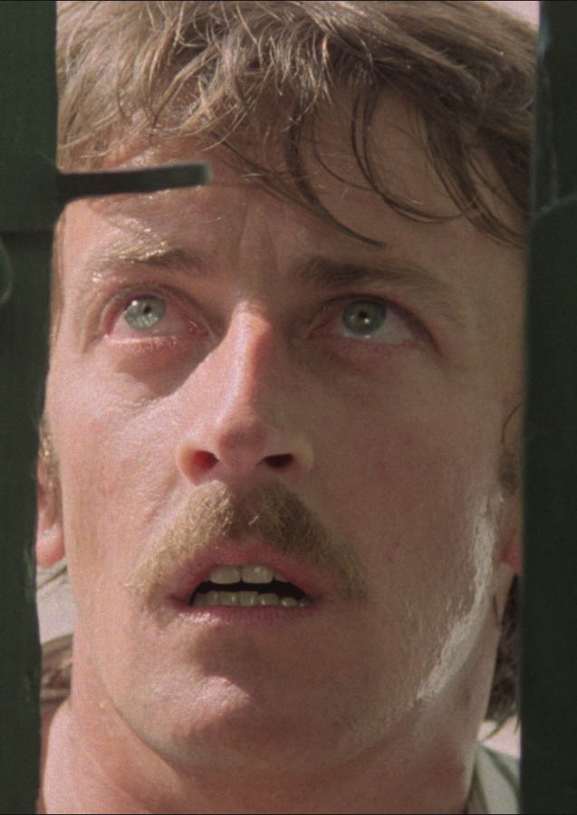 Lewis Fiander dans Les révoltés de l'an 2000