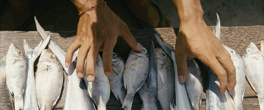 Arnold de Parscau et la musicalité de l'amour dans Une barque sur l'océan
