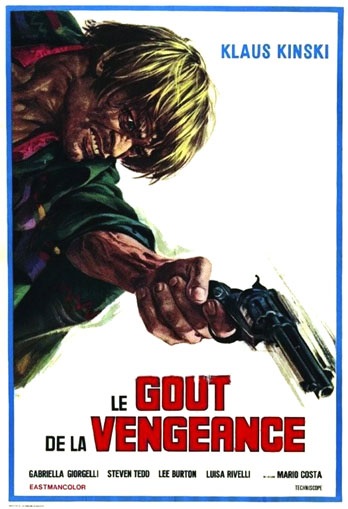 Affiche du film Le Goût de la vengeance