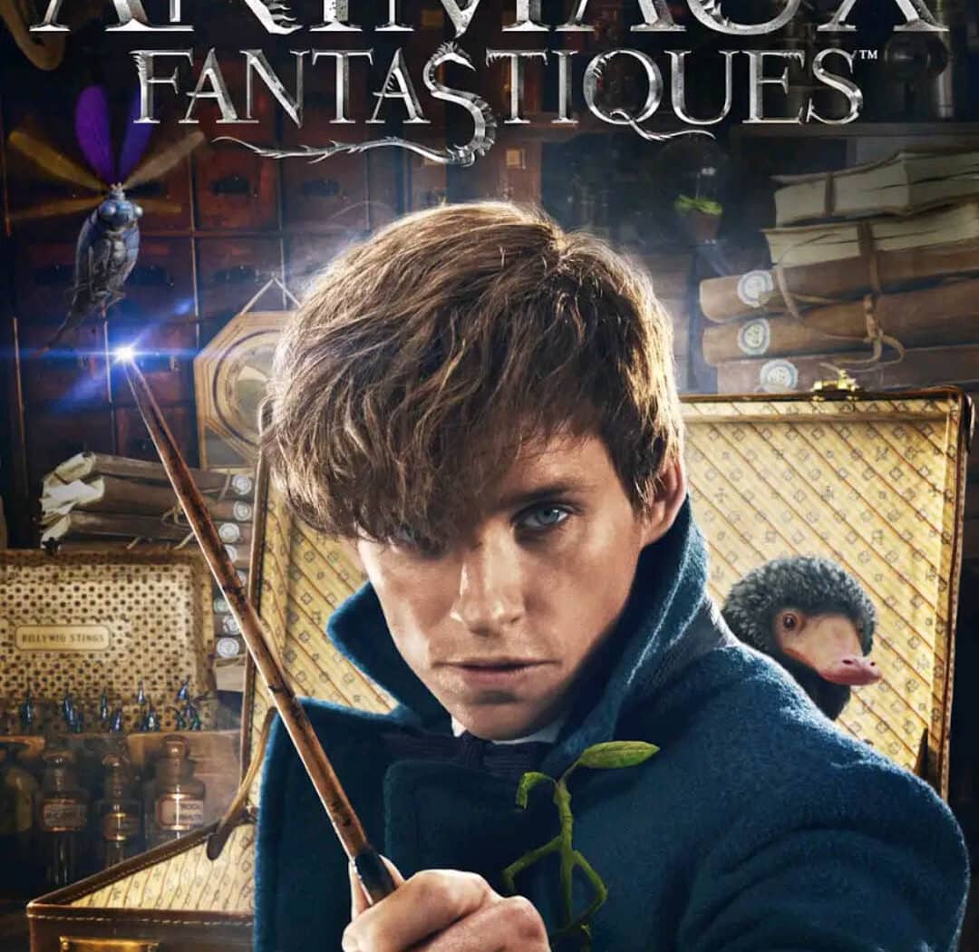 Les animaux fantastiques, cover vod