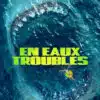En eaux troubles, cover VOD