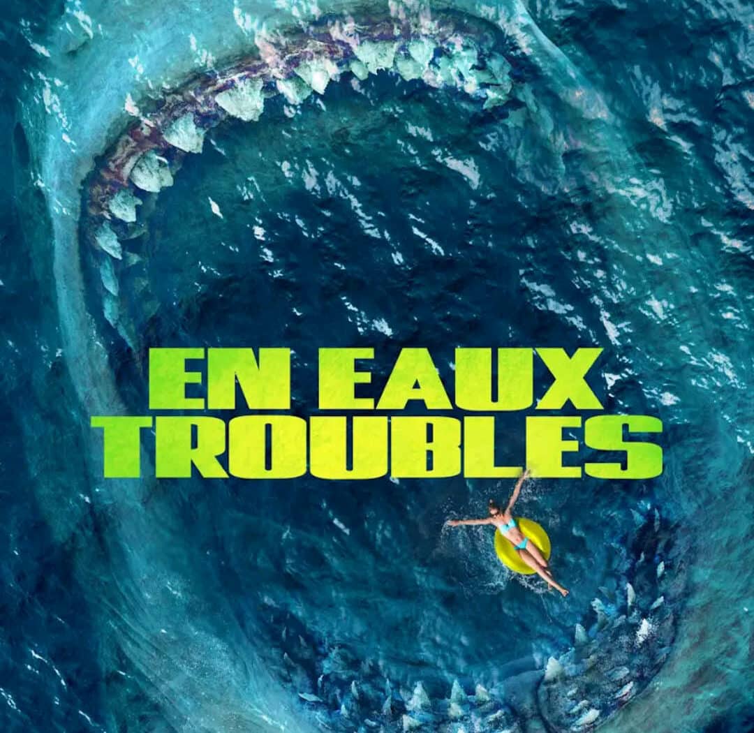 En eaux troubles, cover VOD