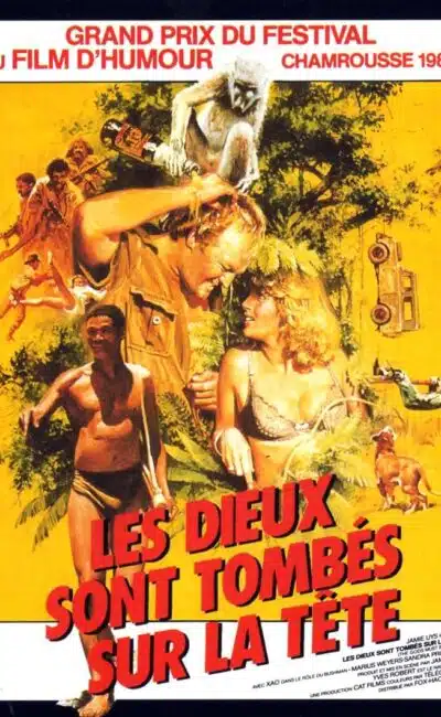 Les dieux sont tombés sur la tête, l'affiche