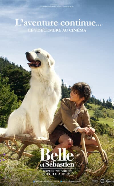 Belle et Sébastien, l'aventure continue...
