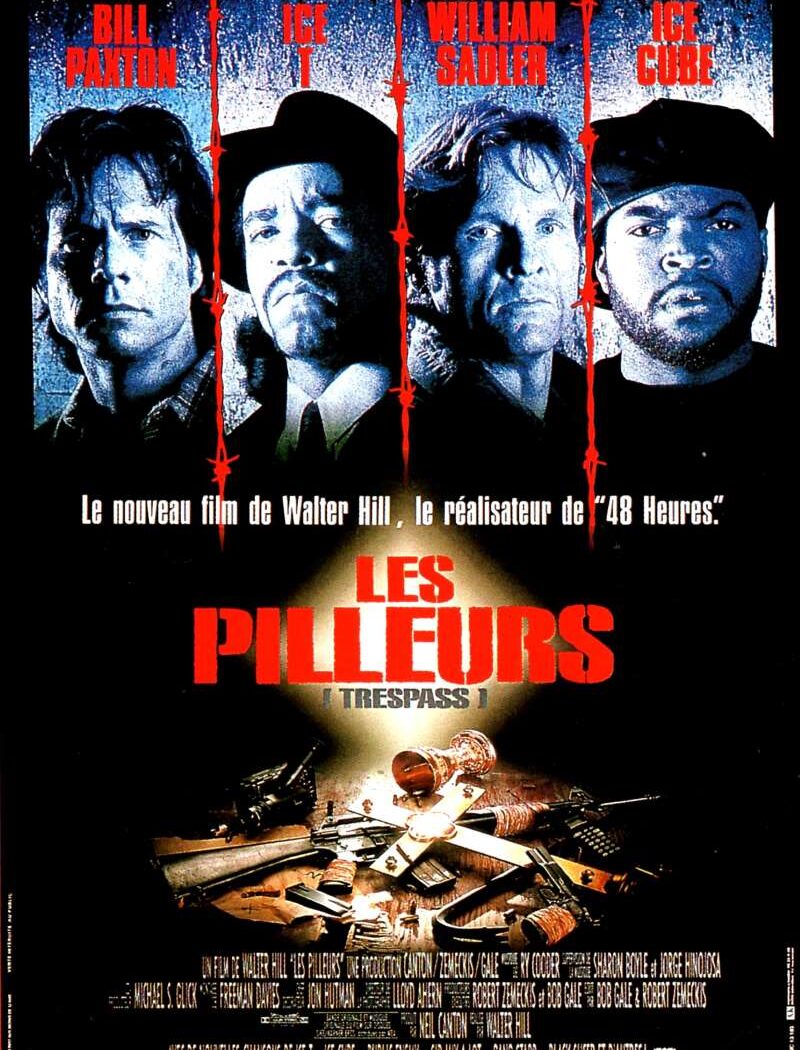 Les pilleurs, l'affiche