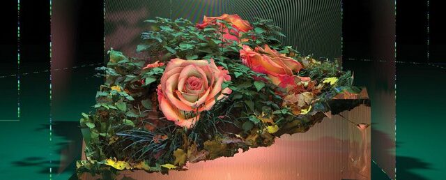 Centre Pompidou : Festival Hors Pistes du 1er au 14 février