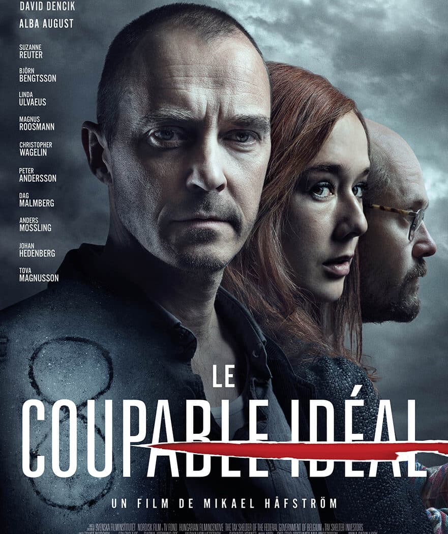 Le coupable idéal, affiche