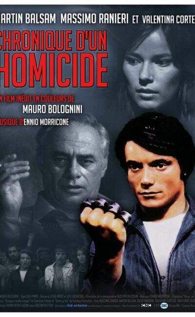 Chronique d'un homicide, affiche 2015