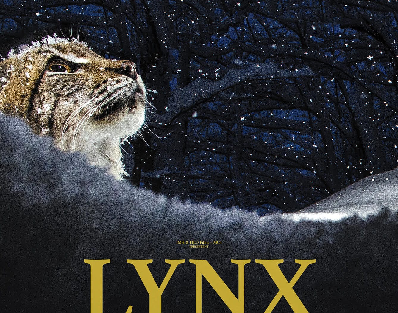 Lynx, affiche du film de Laurent Geslin