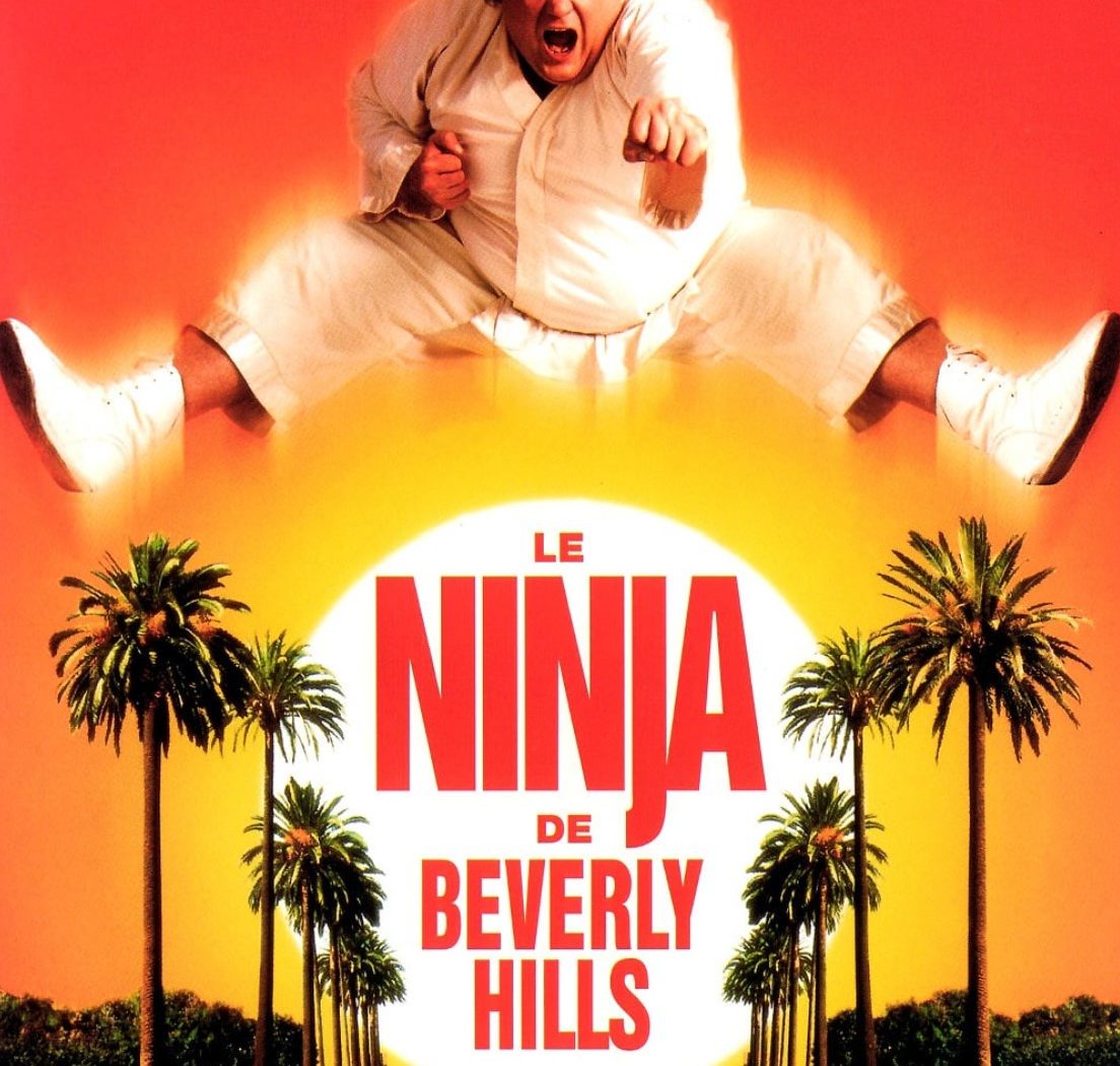 Le ninja de Beverly Hills, cover VOD