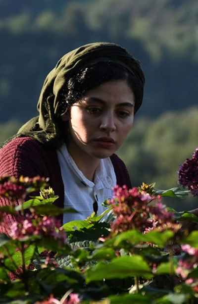 Zhila Shahi, portrait