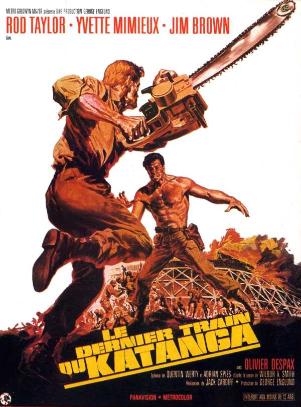 Le dernier train du Katanga, l'affiche