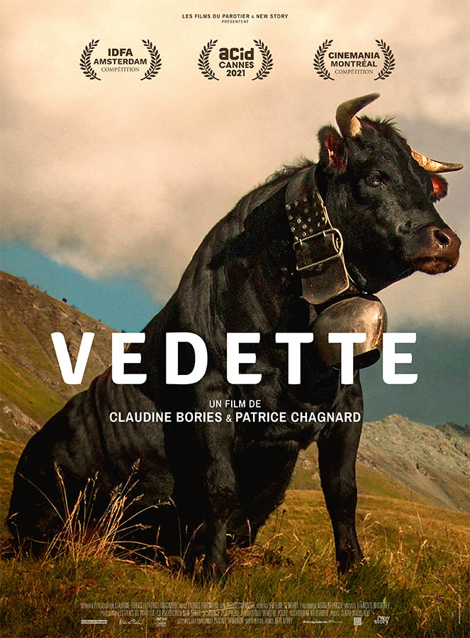 Affiche du documentaire Vedette de Claudine Bories et Patrice Chagnard