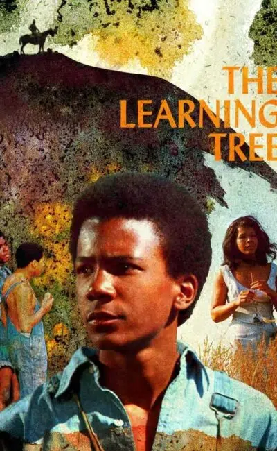 Les sentiers de la violence, affiche VOD