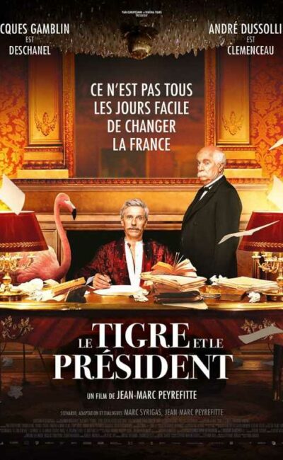 Le tigre et le président, l'affiche