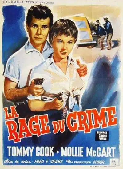 La rage du crime, l'affiche