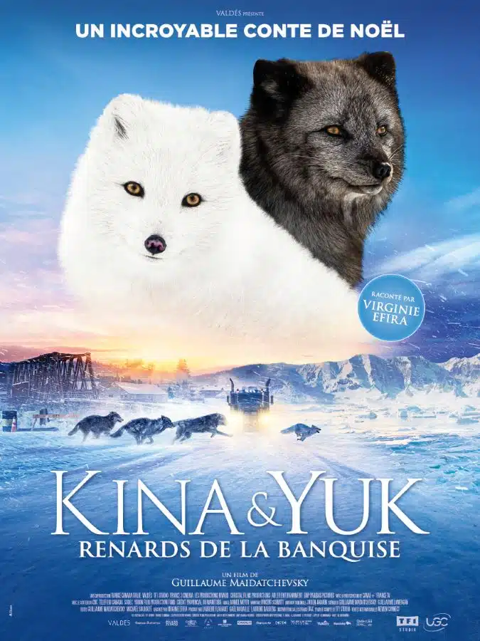 Kina & Yuk : renards de la banquise, affiche teaser