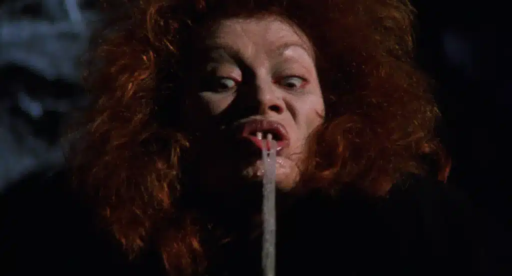 Capture d'écran Spider Labyrinth chez Severin