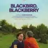 Affiche de Blackbird, Blackberry