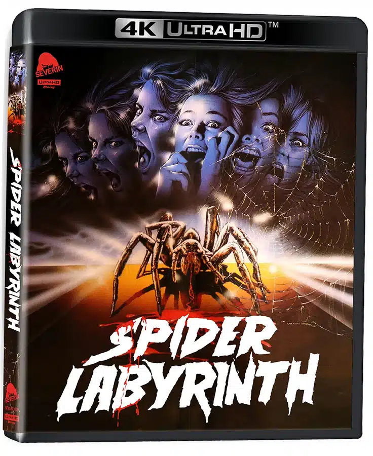 Jaquette de Spider Labyrinth chez Severin