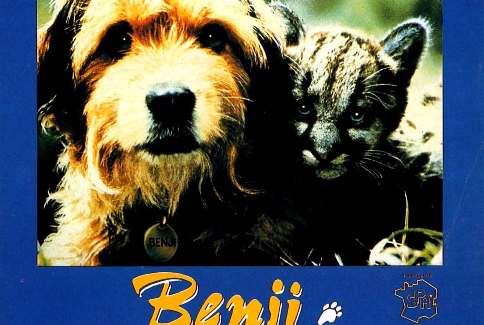 Affiche française de "Benji la malice"
