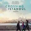 Crossing Istanbul, l'affiche